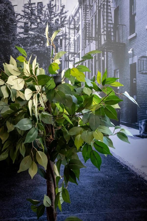 Superbe Appartement Avec Patio Nimes Exterior foto